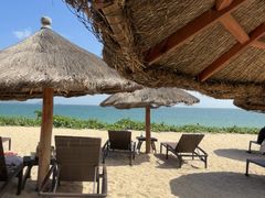-三亚亚龙湾瑞吉酒店·宴悦Driftwood·游水海鲜·牛排·草坪·私人定制