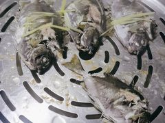 -青蓬蒸汽海鲜·深圳老字号·团建聚会(壹方城店)