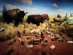 -陕西自然博物馆