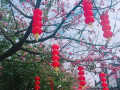 -齐汇维景大酒店游泳馆(山东政协大厦齐汇维景)