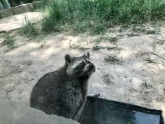 -青藏高原野生动物园
