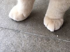 -Catmate·猫肥家润(金润铂宫店)