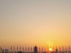 -洋湖国家湿地公园