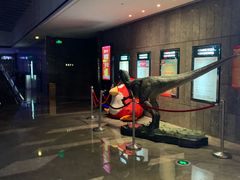 -武商摩尔影城(国广IMAX激光店)