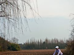 -白鹭湾湿地公园
