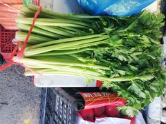 -江杨农产品批发市场