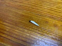 -胡须平沙茶面(后炉街店)