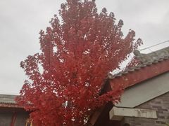 -西宁市人民公园(城西区)