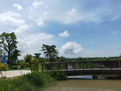 -芒洲湿地公园