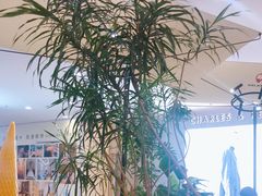 -野人先生Gelato(上海长宁龙之梦店)