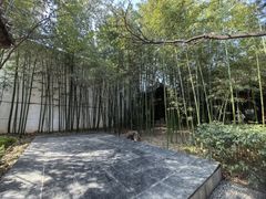 -陕拾叁(袁家村店)