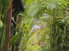 -碧桂园润杨溪谷温泉酒店