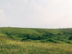 -恋山坝上草原