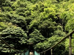 -溪口-滕头旅游景区