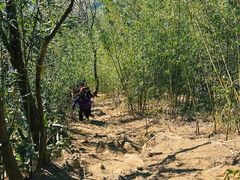 -安吉龙王山风景区