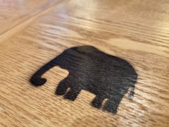 -ZOO COFFEE动物园咖啡(望京锐创店)