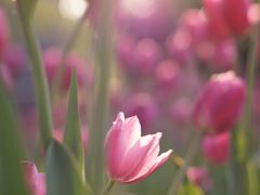 -长春公园(普阳街道)