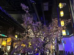 -绿茶餐厅(朝阳大悦城店)