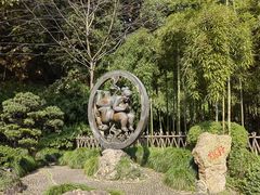 -杭州黄龙洞