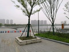-映月湖中央公园