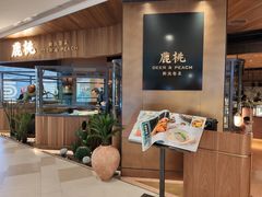 -大树餐厅(益田假日店)