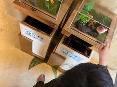 -宁波九龙湖开元度假村