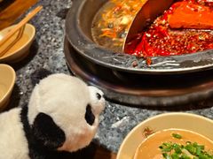 -蜀大侠火锅(总府路店)