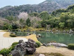 -天龙寺