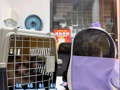 -御宝贝·A梦猫科宠物医院(国际猫友好医院)
