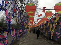 -河北村民俗体验园