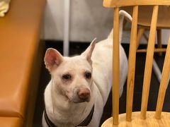 -Egg•Allday Brunch(襄阳北路店)