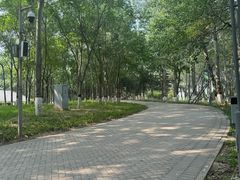 -大兴滨河森林公园