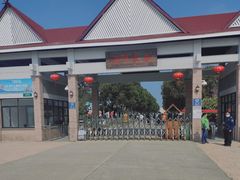 -上海都市菜园