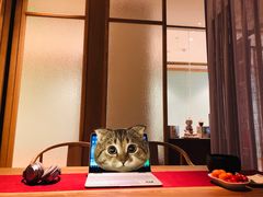 包房-苗品记茶馆(时代天街D馆店)