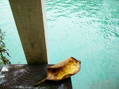 -石燕湖生态旅游景区