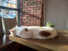 -B.O.M波姆烘焙(凤凰街店)