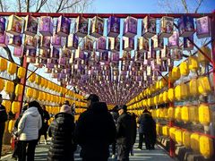 -青龙湖公园