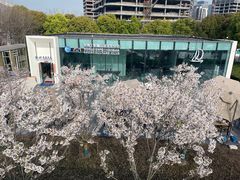 -上海山野camping·户外天幕烧烤·团建拓展营地