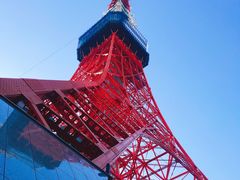 -东京塔海贼王主题公园