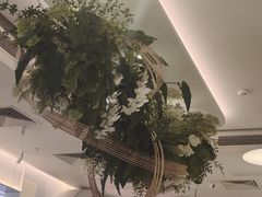 -Aqua Oasis 水天堂(太湖中心mall店)