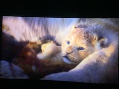 -上影国际影城(普陀绿地缤纷城店)