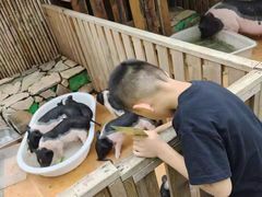 -HERRE·FARM 赫尔露营农场·团建聚会包场