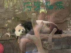 -宁波野生动物园