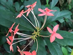 -黄埔荔枝公园