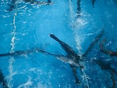 -鲤鱼塘农家山庄