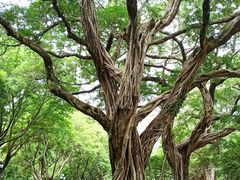 -公园前(地铁站)