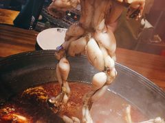 -老天桥蛙炉火锅(姑苏总店)