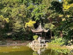 -深圳国际园林花卉博览园