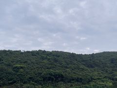 -东海半边山旅游度假区