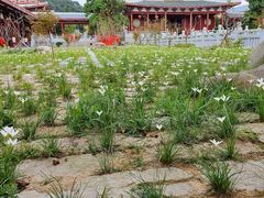 -莆田南少林寺